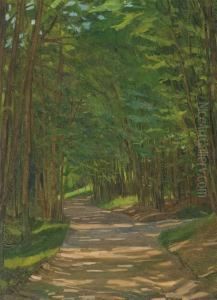 A Path In A Wooded Landscape A Path In A Wooded Landscape