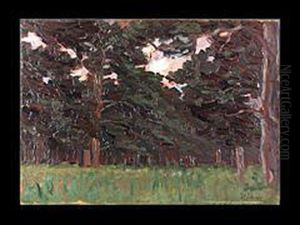 Waldlandschaft Waldlandschaft