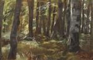 The Forest The Forest