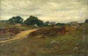 Summer Landscape