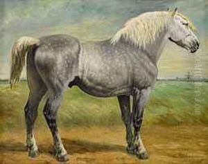 Pferdeportrat Eines Boulonnais (kaltblut)
