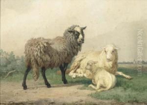 Sheep. 1868. by Edmond Jean Baptiste Tschaggeny