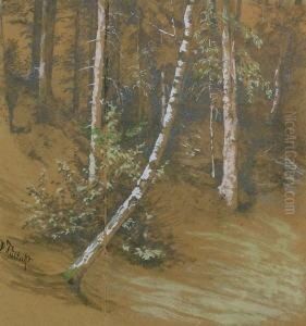 Birkenwaldchen. Deckfarben Und
Bleistift Auf Beigem Karton Auf Grauem Karton Aufgezogen. 32,5 X 30 Cm.
Signiert. by Paul Wilhelm Tubbecke