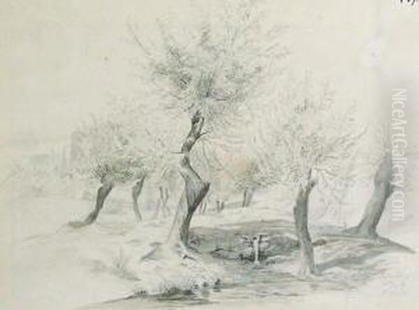 Baumlandschaft Mit Kleinem Wasserfall - view 1