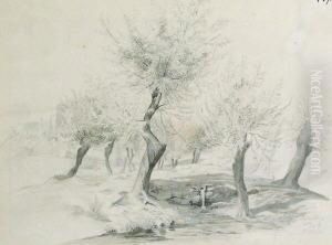 Baumlandschaft Mit Kleinem Wasserfall by Paul Wilhelm Tubbecke