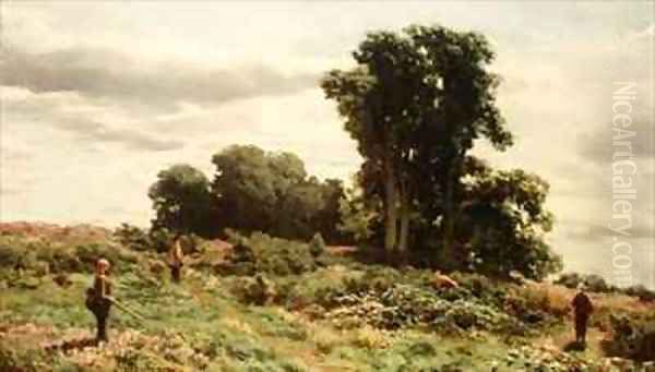 The Forest of Meiklour Perthshire - view 1