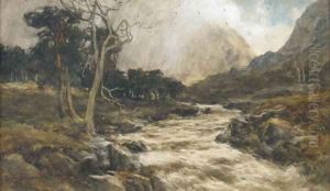 A rushing stream by David Farquharson