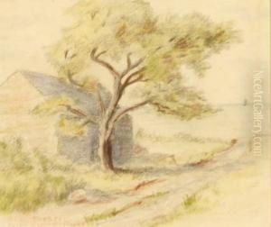 'caleb's Lane - Rockport' by Allen Tucker