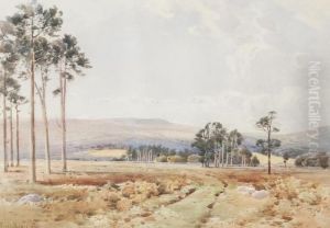 Perthshire Landscape