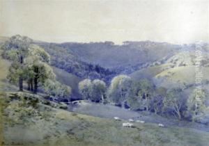 Sheep On The Downs