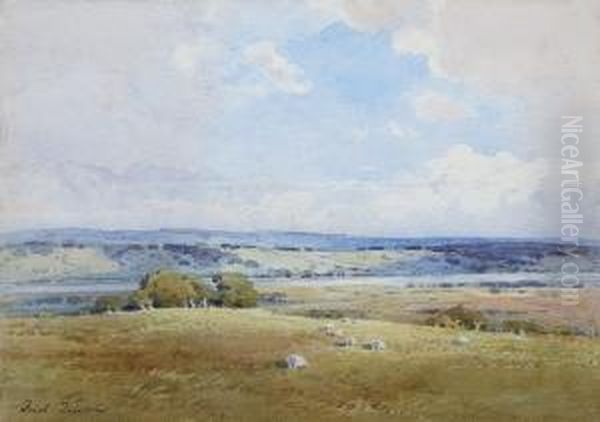 The Valley Of The Nith - view 1
