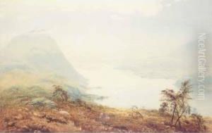 Lake Lanscape