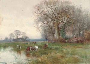 A backwater on the Ouse, Huntingdonshire