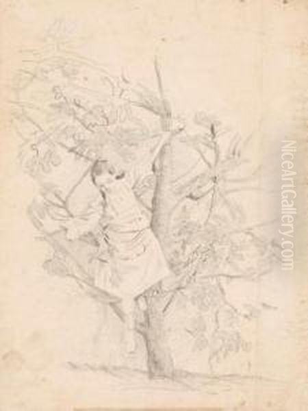Bimba Sull'albero - view 1
