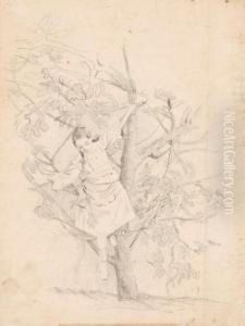 Bimba Sull'albero by Celestino Turletti