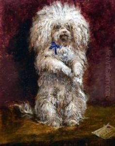 The Poodle Messenger by Celestino Turletti