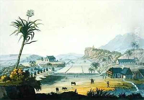 Sugar Plantation Antilles - view 1