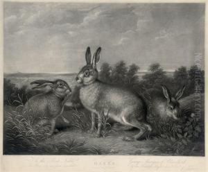 Hares by Joseph Mallord William Turner