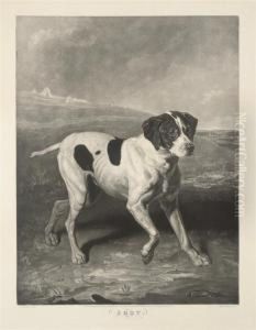 Shot by Joseph Mallord William Turner