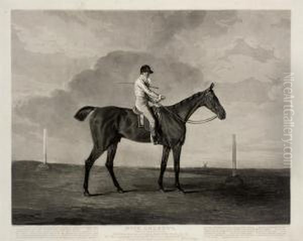Dick Andrews, Ridden By Richard Goodeson - view 1