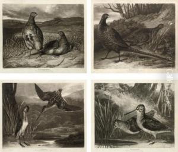 British Feather Game: Pl.1 Partridges; Pl.2 Pheasants; Pl.3 Snipes; And Pl.4 Woodcocks - view 1