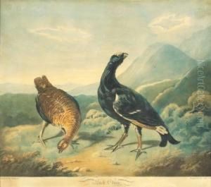 Black Game by Joseph Mallord William Turner
