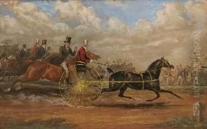 The Celebrated Tom Thumb