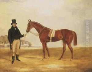 Zillot, A Chestnut Racehorse