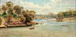 On The Parramatta River Near Gladesville