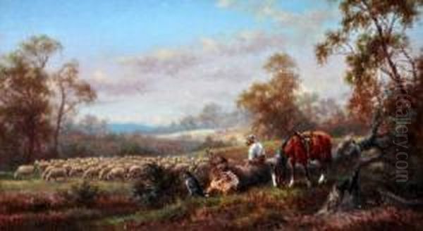 Resting The Flock - view 1