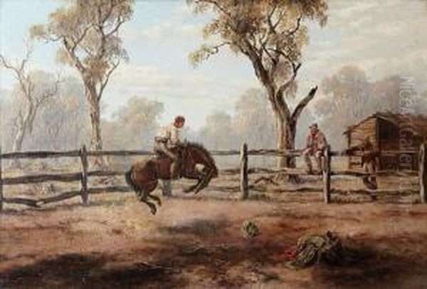 Colonial Experience - view 1