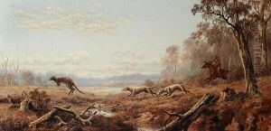 Out Of Cover: A Kangaroo Hunt