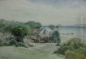 Beach Shack