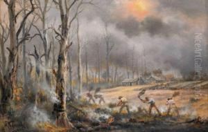 Fighting The Bushfire