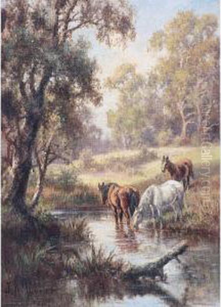 The Watering Hole - view 1