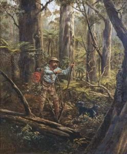 The Bushman And His Dog