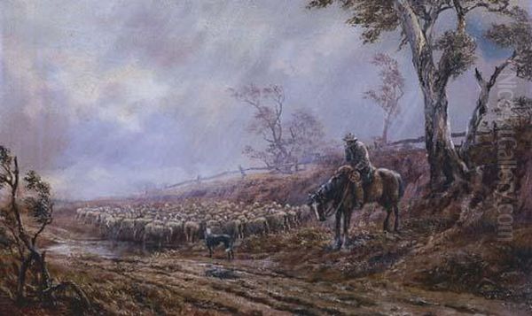Droving Sheep - view 1