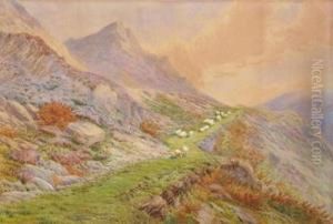 Sheep On A Hillside Path by William Turner