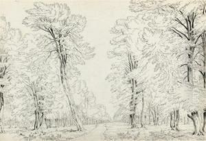 The Road Home Through The Trees by William Turner