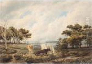 Cattle Grazing Near Beaulieu In The New Forest, Hampshire by William Turner
