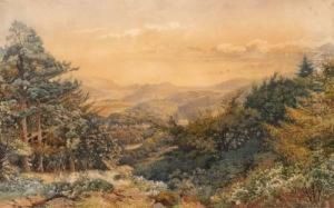 View Over Scottish Woodland Towards The Coast by William Turner