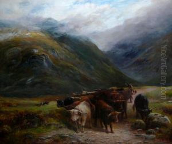 A Highland Drove In Glencoe - view 1