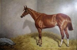 Portrait Of The Race Horse "prince Frederick"