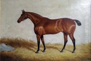 Portrait Of A Chestnut Hunter