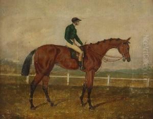 Portrait Of A Racehorse "nancy"