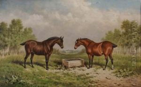 The Favourites - view 1