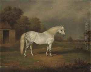 Skewbald Horse by William Eddowes Turner