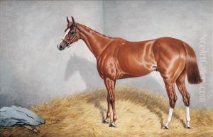 Portrait Ofthe Bay Racehorse Prince Frederick, In A Stable