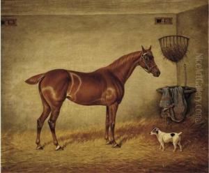 A Chestnut Racehorse And A Jack Russell In A Stable