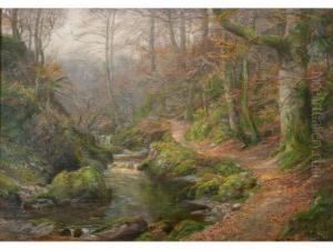 A Woodland Glen